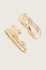 1752V26-14-Papete-Tule-Ouro