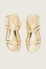 1752V26-14-Papete-Tule-Ouro--2-