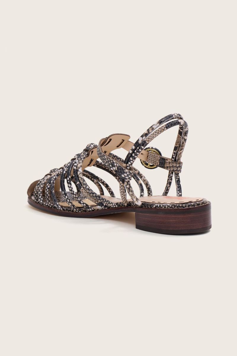 1916V27-438-RASTEIRA-NO-FISHERMAN-SNAKE--3-